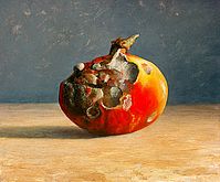 Still life decay, 34x29cm, 2005.