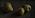 Still life with 3 pears, 33x16cm, 2007/8. SOLD