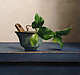 stilllifeid_still-life-with-chinese-bowl-leafs
