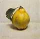 stilllifeid_quince-with-leaf