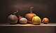 stilllifeid_pumpkin-still-life-persingen2015-paintings